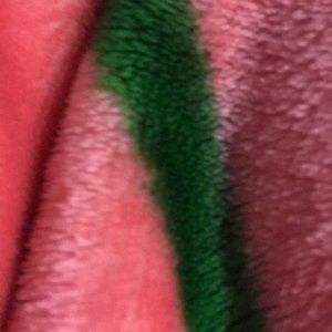 Meet your Posher, Ariana